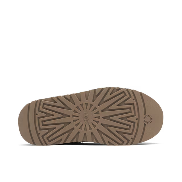 Slipper Mushroom Edition